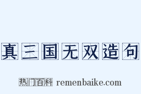 真三国无双造句是什么意思的图片